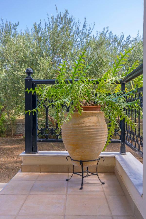 Villa Lina'S Amazing House In Ialysos Ixia  Exterior foto